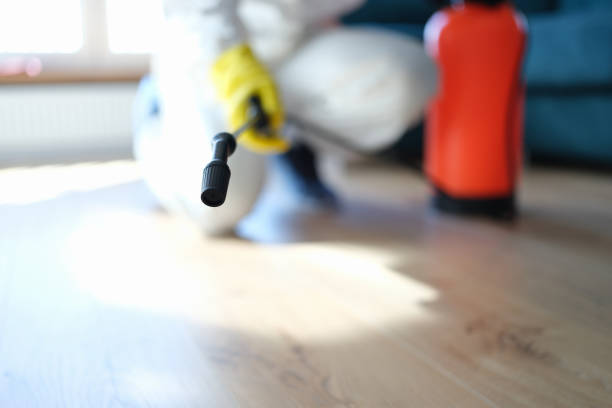 Best Air Quality Testing for Mold Spores  in Rio Dell, CA